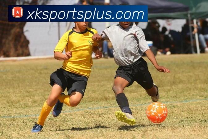 多媒体互动体验